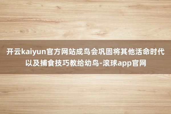 开云kaiyun官方网站成鸟会巩固将其他活命时代以及捕食技巧教给幼鸟-滚球app官网