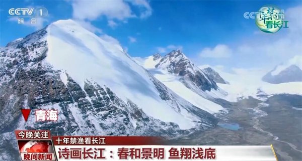 开云(中国)开云kaiyun·官方网站不错在海拔5200多米的场所生活-滚球app官网