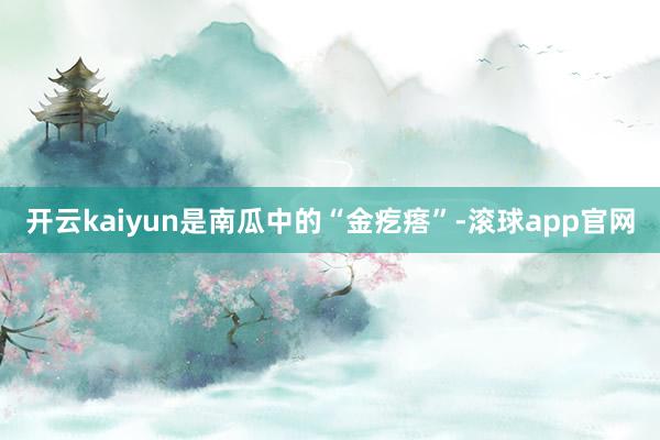 开云kaiyun是南瓜中的“金疙瘩”-滚球app官网