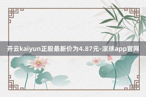 开云kaiyun正股最新价为4.87元-滚球app官网