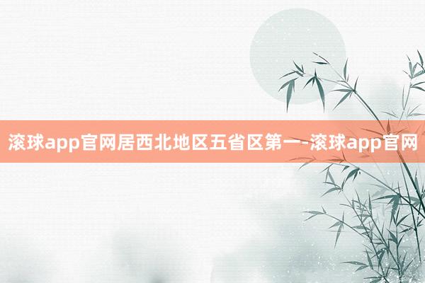 滚球app官网居西北地区五省区第一-滚球app官网