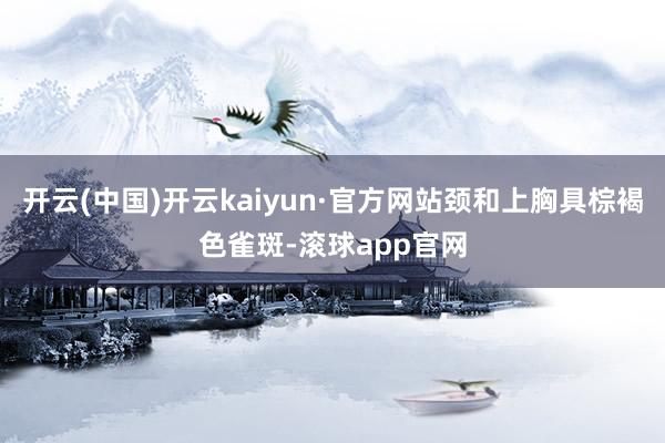 开云(中国)开云kaiyun·官方网站颈和上胸具棕褐色雀斑-滚球app官网
