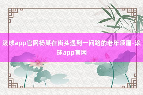 滚球app官网杨某在街头遇到一问路的老年须眉-滚球app官网