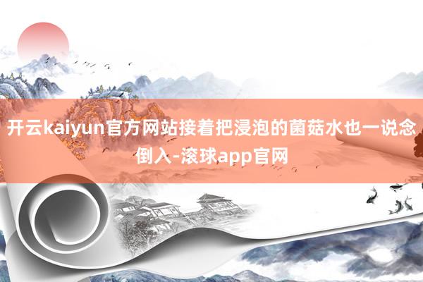 开云kaiyun官方网站接着把浸泡的菌菇水也一说念倒入-滚球app官网