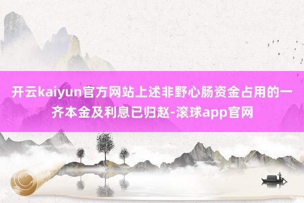 开云kaiyun官方网站上述非野心肠资金占用的一齐本金及利息已归赵-滚球app官网