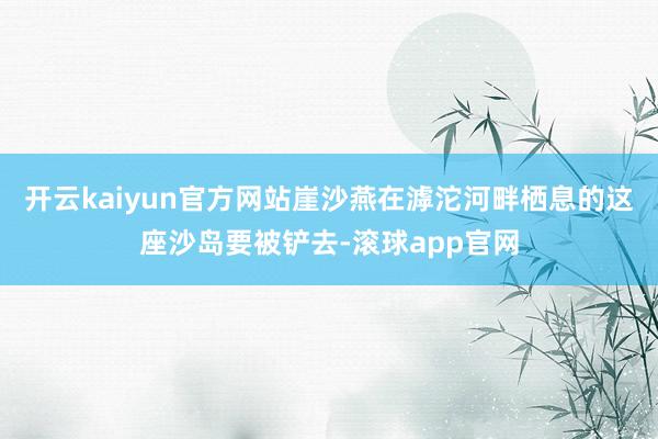 开云kaiyun官方网站崖沙燕在滹沱河畔栖息的这座沙岛要被铲去-滚球app官网
