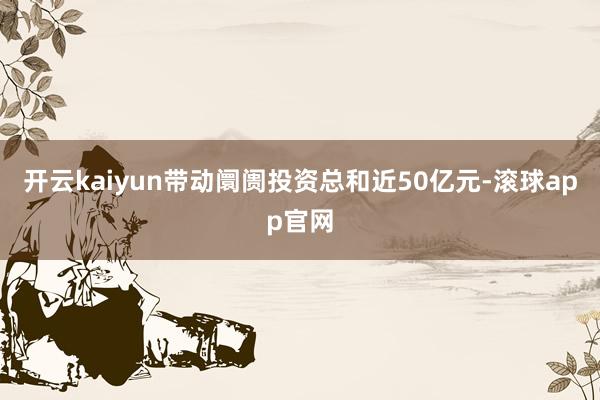 开云kaiyun带动阛阓投资总和近50亿元-滚球app官网