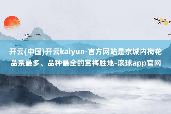 开云(中国)开云kaiyun·官方网站是京城内梅花品系最多、品种最全的赏梅胜地-滚球app官网