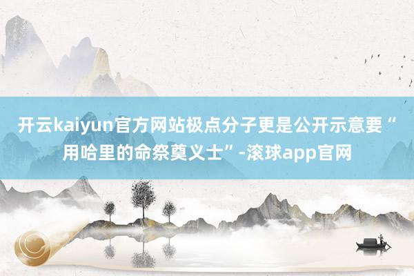 开云kaiyun官方网站极点分子更是公开示意要“用哈里的命祭奠义士”-滚球app官网