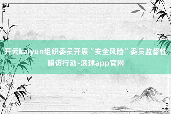 开云kaiyun组织委员开展“安全风险”委员监督性暗访行动-滚球app官网
