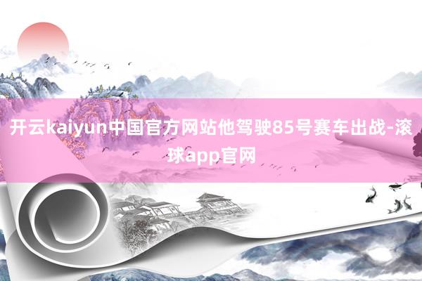 开云kaiyun中国官方网站他驾驶85号赛车出战-滚球app官网
