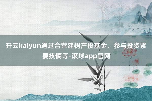 开云kaiyun通过合营建树产投基金、参与投资紧要技俩等-滚球app官网