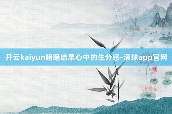 开云kaiyun暗暗结果心中的生分感-滚球app官网