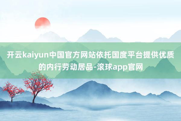 开云kaiyun中国官方网站依托国度平台提供优质的内行劳动居品-滚球app官网