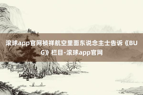 滚球app官网 祯祥航空里面东说念主士告诉《BUG》栏目-滚球app官网