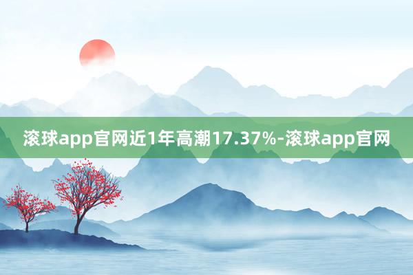 滚球app官网近1年高潮17.37%-滚球app官网