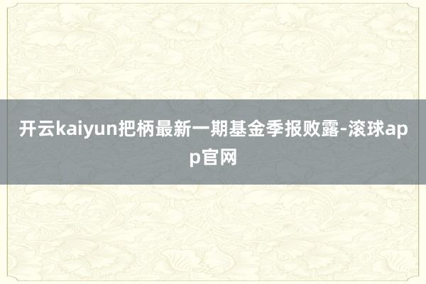 开云kaiyun把柄最新一期基金季报败露-滚球app官网