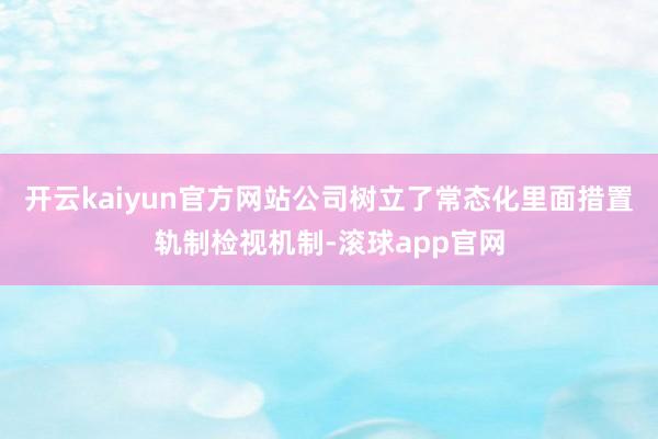 开云kaiyun官方网站公司树立了常态化里面措置轨制检视机制-滚球app官网