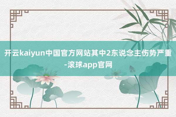 开云kaiyun中国官方网站其中2东说念主伤势严重-滚球app官网