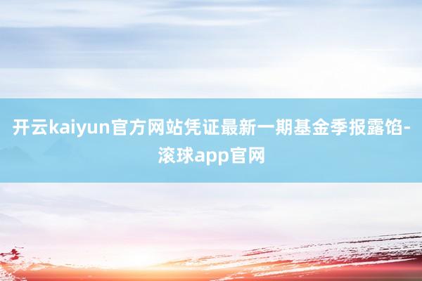 开云kaiyun官方网站凭证最新一期基金季报露馅-滚球app官网