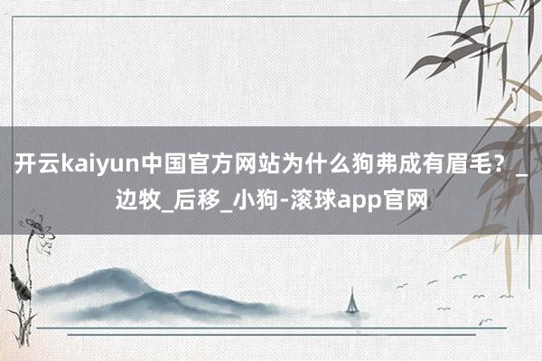 开云kaiyun中国官方网站为什么狗弗成有眉毛？_边牧_后移_小狗-滚球app官网