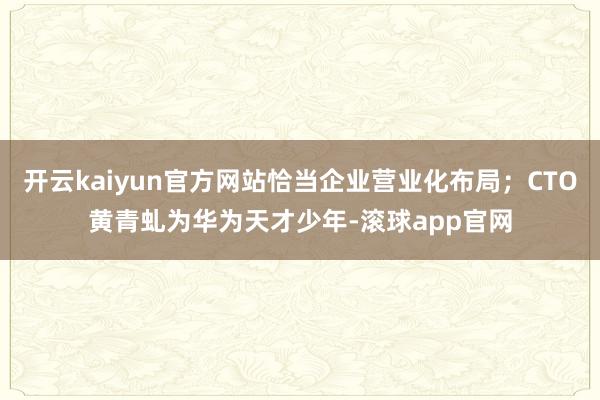 开云kaiyun官方网站恰当企业营业化布局；CTO黄青虬为华为天才少年-滚球app官网