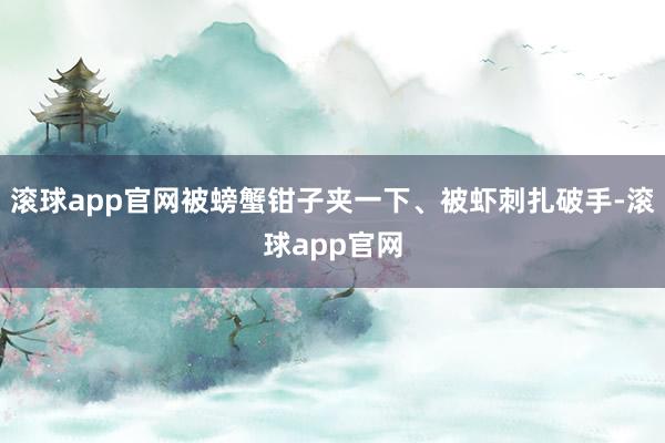 滚球app官网被螃蟹钳子夹一下、被虾刺扎破手-滚球app官网