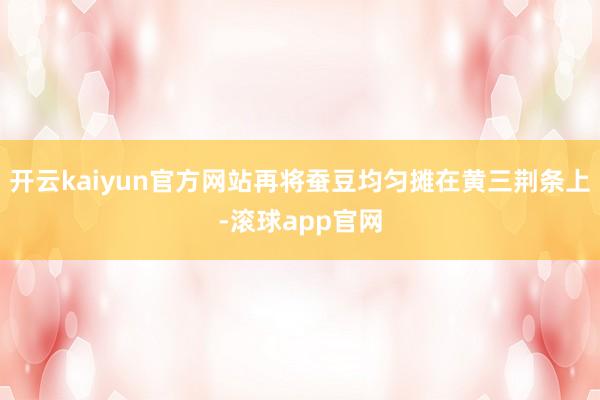 开云kaiyun官方网站再将蚕豆均匀摊在黄三荆条上-滚球app官网