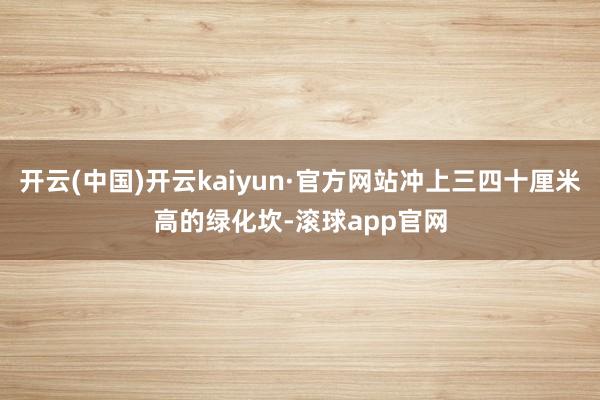 开云(中国)开云kaiyun·官方网站冲上三四十厘米高的绿化坎-滚球app官网