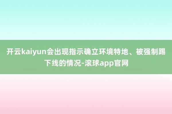 开云kaiyun会出现指示确立环境特地、被强制踢下线的情况-滚球app官网